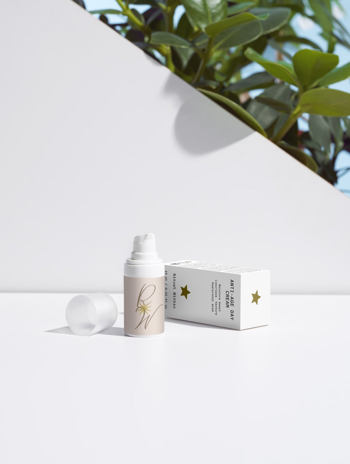 Timeless Radiance Collection Box